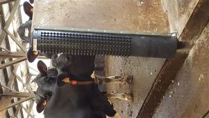 Dairy scratchy massage rubber in box met schroeven